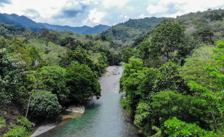 4 Tempat Wisata Bukit Lawang Langkat Menarik untuk Liburan