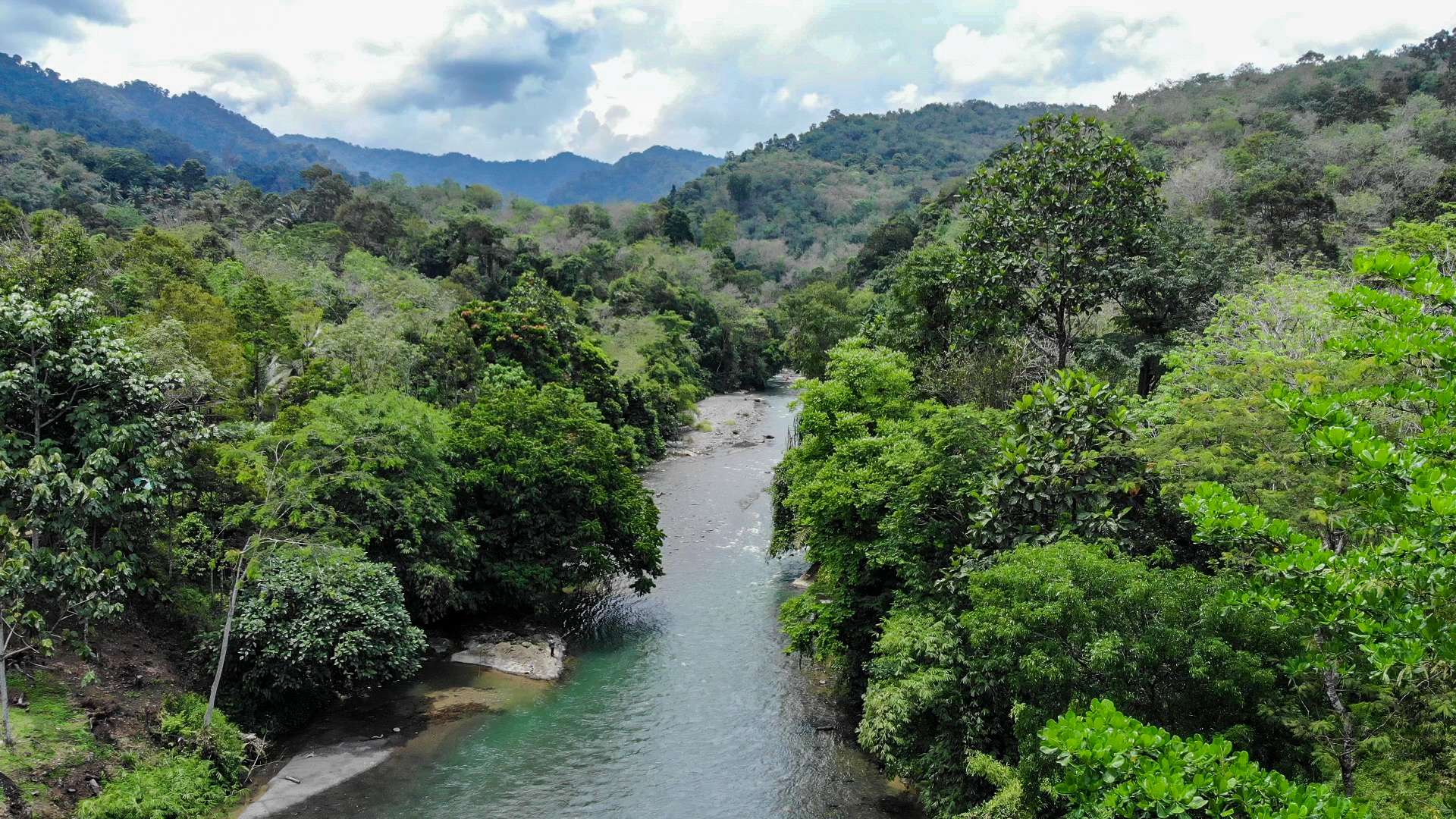 4 Tempat Wisata Bukit Lawang Langkat Menarik untuk Liburan