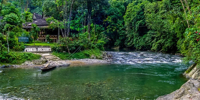 Taman Nasional Bukit Lawang Sumut Yang Lagi Hits