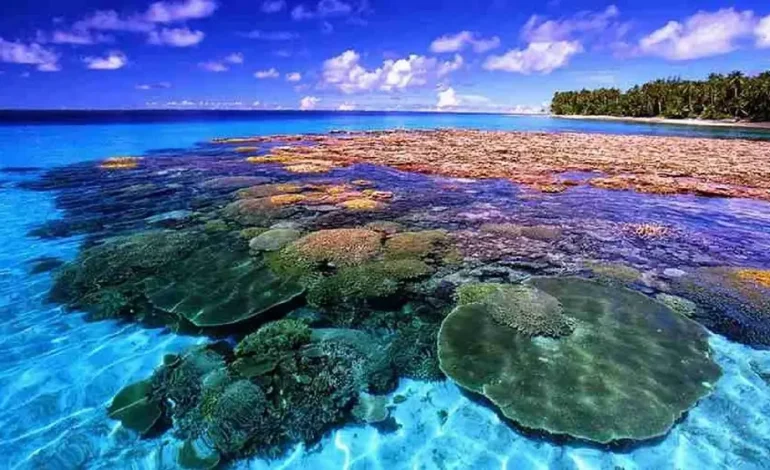 Taman Laut Bunaken – Surga Wisata Bahari di Sulawesi Utara